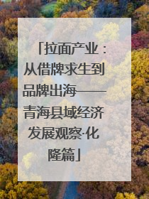 拉面产业：从借牌求生到品牌出海——青海县域经济发展观察·化隆篇