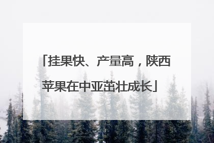 挂果快、产量高，陕西苹果在中亚茁壮成长