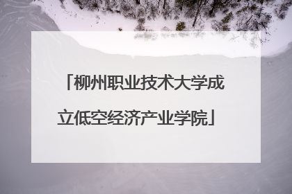 柳州职业技术大学成立低空经济产业学院