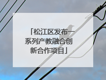 松江区发布一系列产教融合创新合作项目