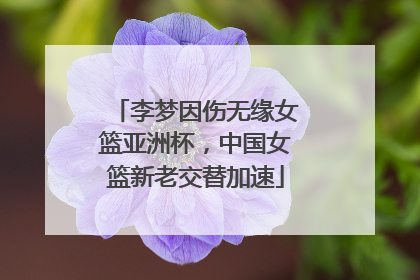 李梦因伤无缘女篮亚洲杯，中国女篮新老交替加速