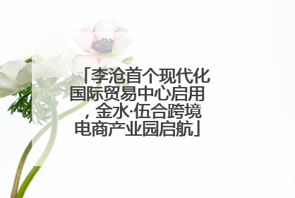 李沧首个现代化国际贸易中心启用，金水·伍合跨境电商产业园启航
