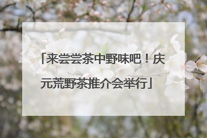 来尝尝茶中野味吧！庆元荒野茶推介会举行