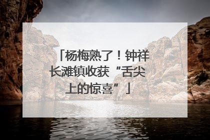 杨梅熟了！钟祥长滩镇收获“舌尖上的惊喜”