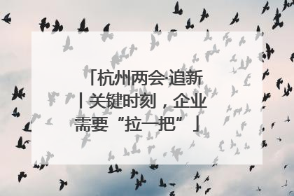 杭州两会·追新丨关键时刻，企业需要“拉一把”