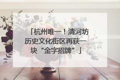 杭州唯一！清河坊历史文化街区再获一块“金字招牌”