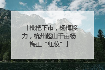 枇杷下市，杨梅接力，杭州超山千亩杨梅正“红妆”