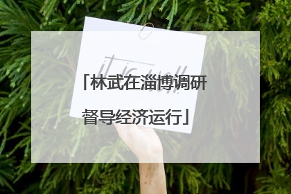 林武在淄博调研督导经济运行
