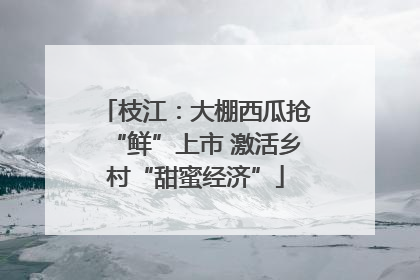 枝江：大棚西瓜抢“鲜”上市 激活乡村“甜蜜经济”