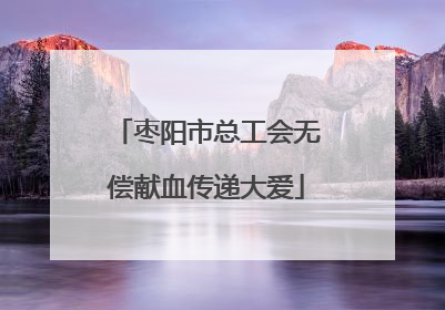 枣阳市总工会无偿献血传递大爱