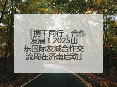 携手同行，合作发展！2025山东国际友城合作交流周在济南启动