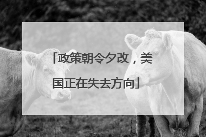 政策朝令夕改，美国正在失去方向