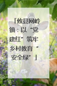 攸县网岭镇：以“党建红”筑牢乡村教育“安全绿”