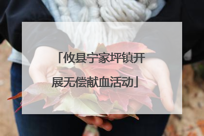 攸县宁家坪镇开展无偿献血活动