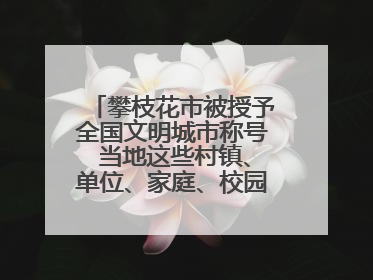 攀枝花市被授予全国文明城市称号 当地这些村镇、单位、家庭、校园也是全国文明！