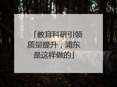 教育科研引领质量提升，浦东是这样做的