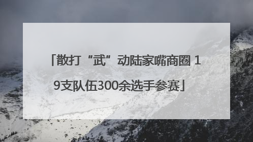 散打“武”动陆家嘴商圈 19支队伍300余选手参赛