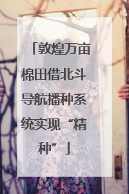 敦煌万亩棉田借北斗导航播种系统实现“精种”