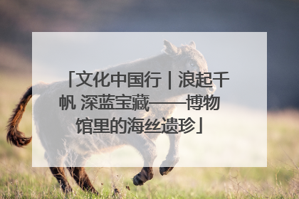 文化中国行｜浪起千帆 深蓝宝藏——博物馆里的海丝遗珍