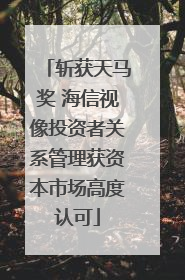 斩获天马奖 海信视像投资者关系管理获资本市场高度认可