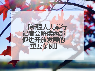 新疆人大举行记者会解读两部促进开放发展的重要条例