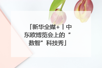 新华全媒+丨中东欧博览会上的“数智”科技秀
