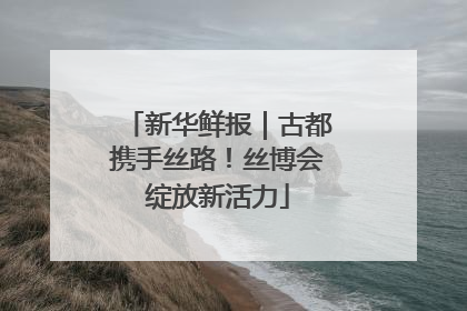 新华鲜报｜古都携手丝路！丝博会绽放新活力