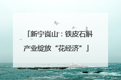 新宁崀山：铁皮石斛产业绽放“花经济”