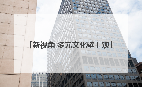 新视角 多元文化壁上观