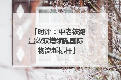 时评：中老铁路量效双增领跑国际物流新标杆