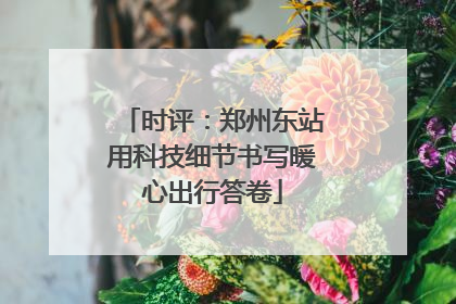 时评：郑州东站用科技细节书写暖心出行答卷