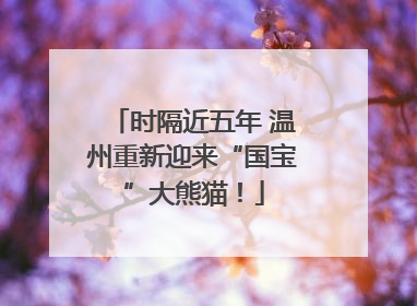 时隔近五年 温州重新迎来“国宝”大熊猫！