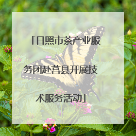 日照市茶产业服务团赴莒县开展技术服务活动