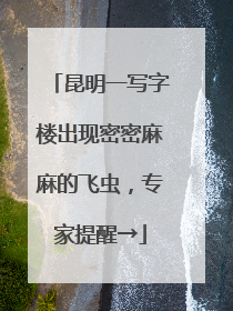 昆明一写字楼出现密密麻麻的飞虫，专家提醒→