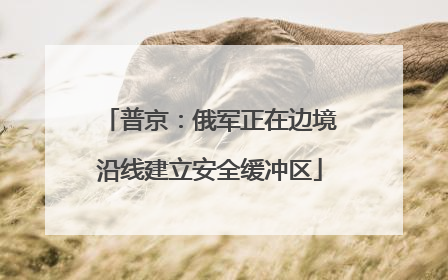 普京：俄军正在边境沿线建立安全缓冲区