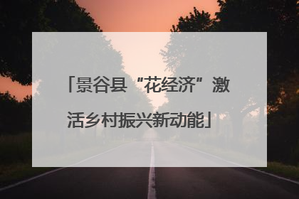 景谷县“花经济”激活乡村振兴新动能