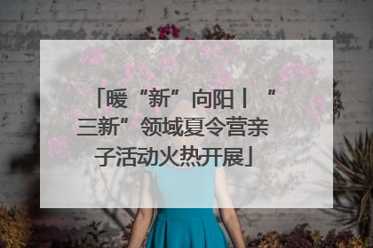 暖“新”向阳丨“三新”领域夏令营亲子活动火热开展