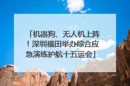 机器狗、无人机上阵！深圳福田举办综合应急演练护航十五运会