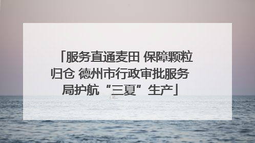 服务直通麦田 保障颗粒归仓 德州市行政审批服务局护航“三夏”生产