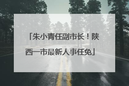 朱小青任副市长！陕西一市最新人事任免