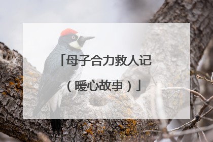 母子合力救人记（暖心故事）