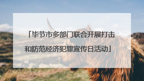 毕节市多部门联合开展打击和防范经济犯罪宣传日活动