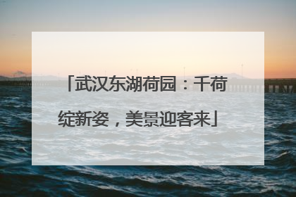 武汉东湖荷园：千荷绽新姿，美景迎客来