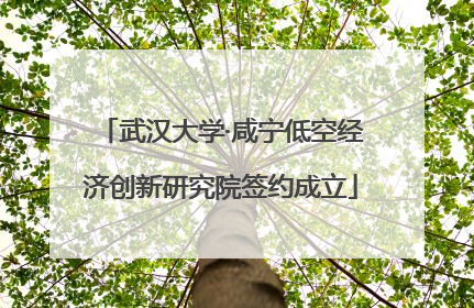 武汉大学·咸宁低空经济创新研究院签约成立