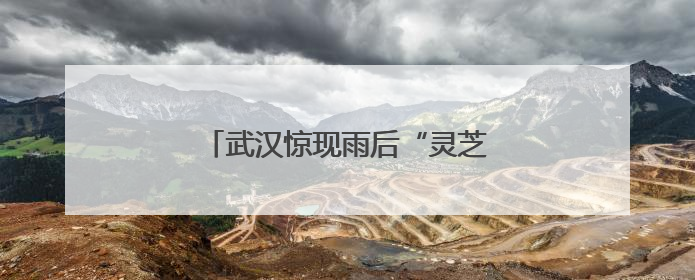 武汉惊现雨后“灵芝”，专家紧急提醒