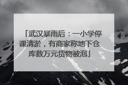 武汉暴雨后：一小学停课清淤，有商家称地下仓库数万元货物被泡