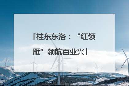 桂东东洛：“红领雁”领航百业兴