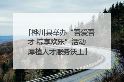 桦川县举办“吾爱吾才 粽享欢乐”活动 厚植人才服务沃土