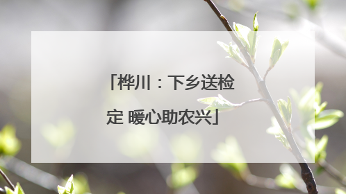 桦川：下乡送检定 暖心助农兴