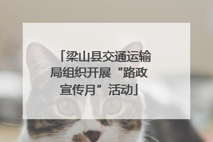 梁山县交通运输局组织开展“路政宣传月”活动